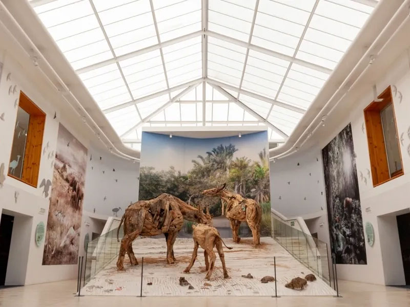 fossil park